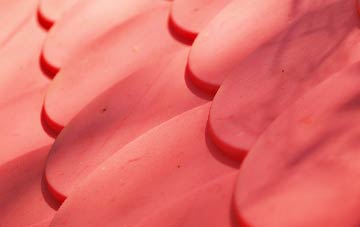 Struanmore plastic roof costs