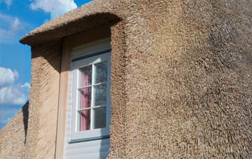 Struanmore thatch roof disadvantages